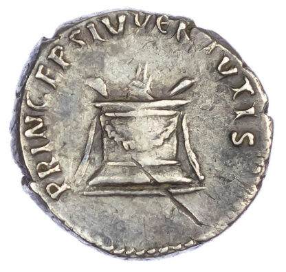Domitian, Silver Denarius
