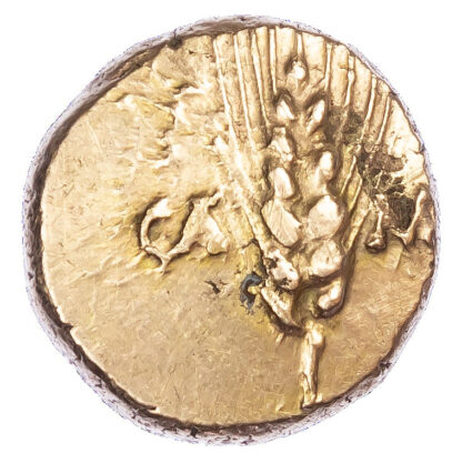 Cunobelin, Gold Stater