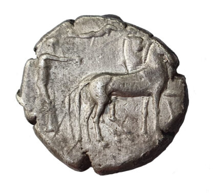 Sicily, Syracuse, Silver Tetradrachm