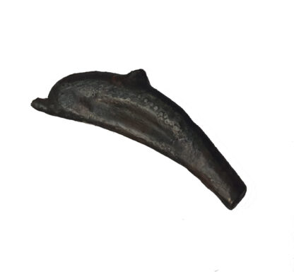 Skythia, Olbia, Bronze Dolphin