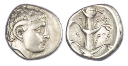 Kyrene, Silver Didrachm