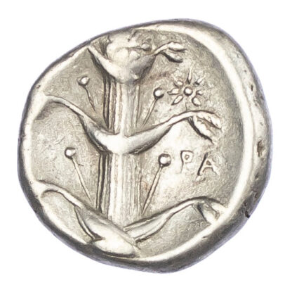 Kyrene, Silver Didrachm