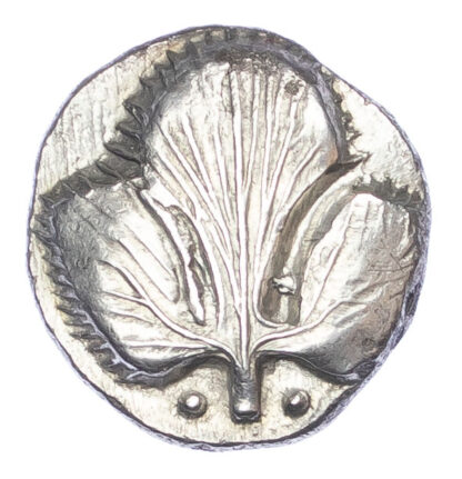 Sicily, Selinos, Silver Didrachm