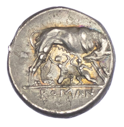 Roman Republic, Silver Didrachm