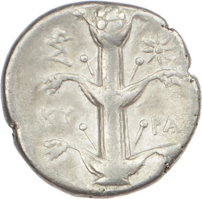 Kyrenaica, Magas of Kyrene, Silver Didrachm