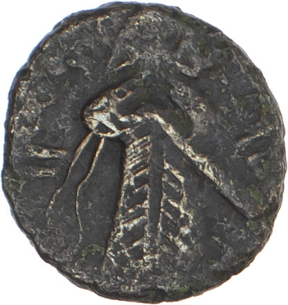 Arab-Byzantine, 'Abd al-Malik (AH 65-86 / 685-705 AD), bronze Fals - Standing Caliph