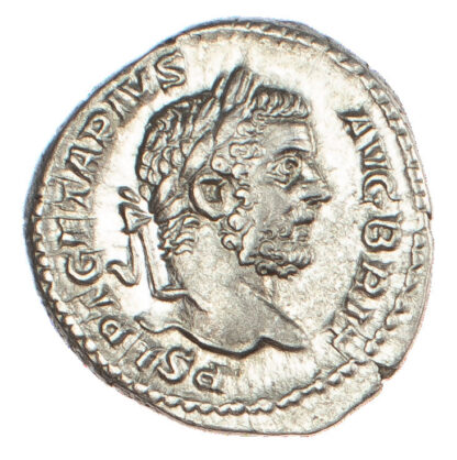 Geta as Augustus, Silver Denarius
