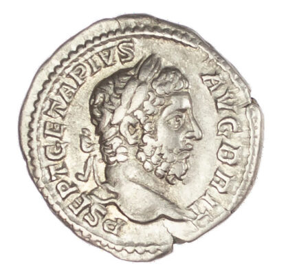 Geta, Silver Denarius