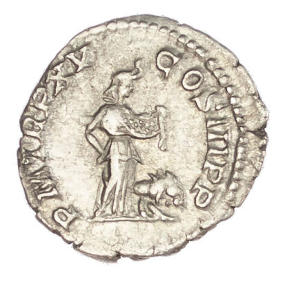 Septimius Severus, Silver Denarius