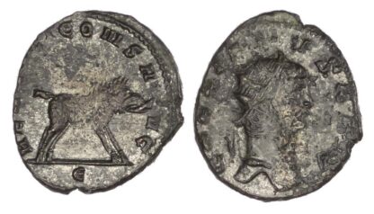 Gallienus, Bronze Antoninianus, Zoo series