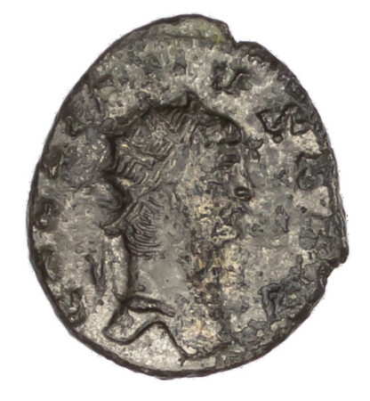 Gallienus, Bronze Antoninianus, Zoo series