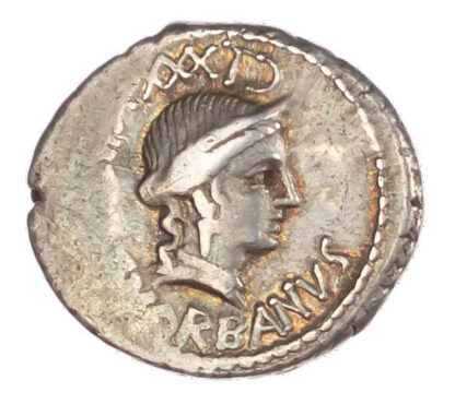 C. Norbanus, Silver Denarius