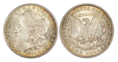 USA, Morgan Dollar, 1884, New Orleans