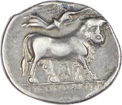 Campania, Neapolis, Silver Nomos