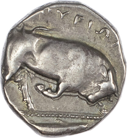 Lucania, Thurium, Silver Dinomos