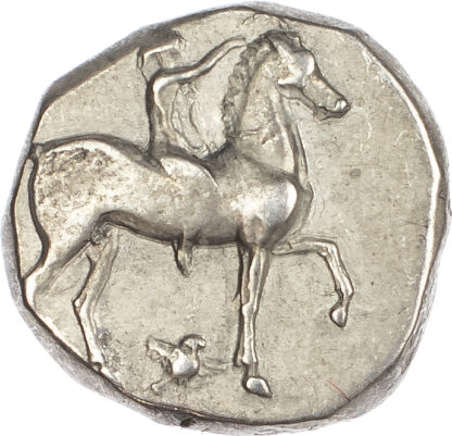 Calabria, Tarentum, Silver Stater