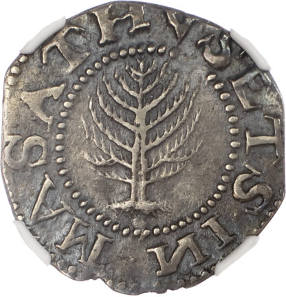 USA, New England, Massachusetts Bay Colony, silver Pine Tree Shilling - large planchet