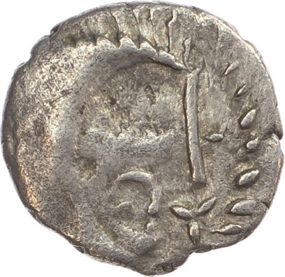 Iceni, Silver Unit