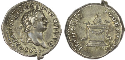 Domitian, Silver Denarius