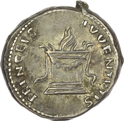 Domitian, Silver Denarius