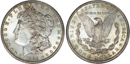 USA, Morgan silver Dollar, 1881 - San Francisco