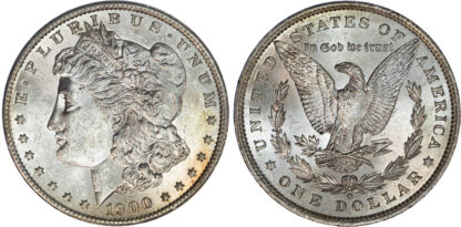 USA, silver Morgan Dollar, 1900 - New Orleans