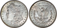 USA, silver Morgan Dollar, 1899 - New Orleans