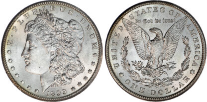 USA, silver Morgan Dollar, 1899 - New Orleans