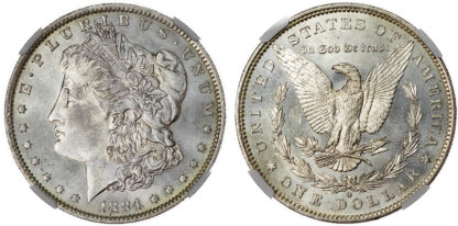 USA, silver Morgan Dollar, 1884, New Orleans - MS 63