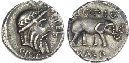 Scipio, Silver Denarius
