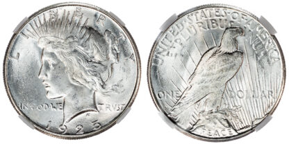 USA, silver Peace Dollar, 1925, San Francisco - MS 63