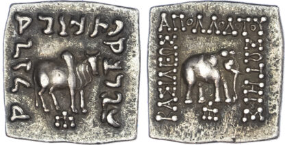 Kings of Baktria, Apollodotos I, AR Square Drachm