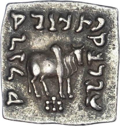 Kings of Baktria, Apollodotos I, AR Square Drachm