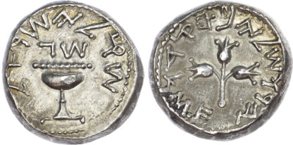 Judaea, First Revolt, Silver Shekel