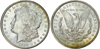 USA, silver Morgan Dollar, 1899