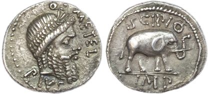 Scipio, Silver Denarius