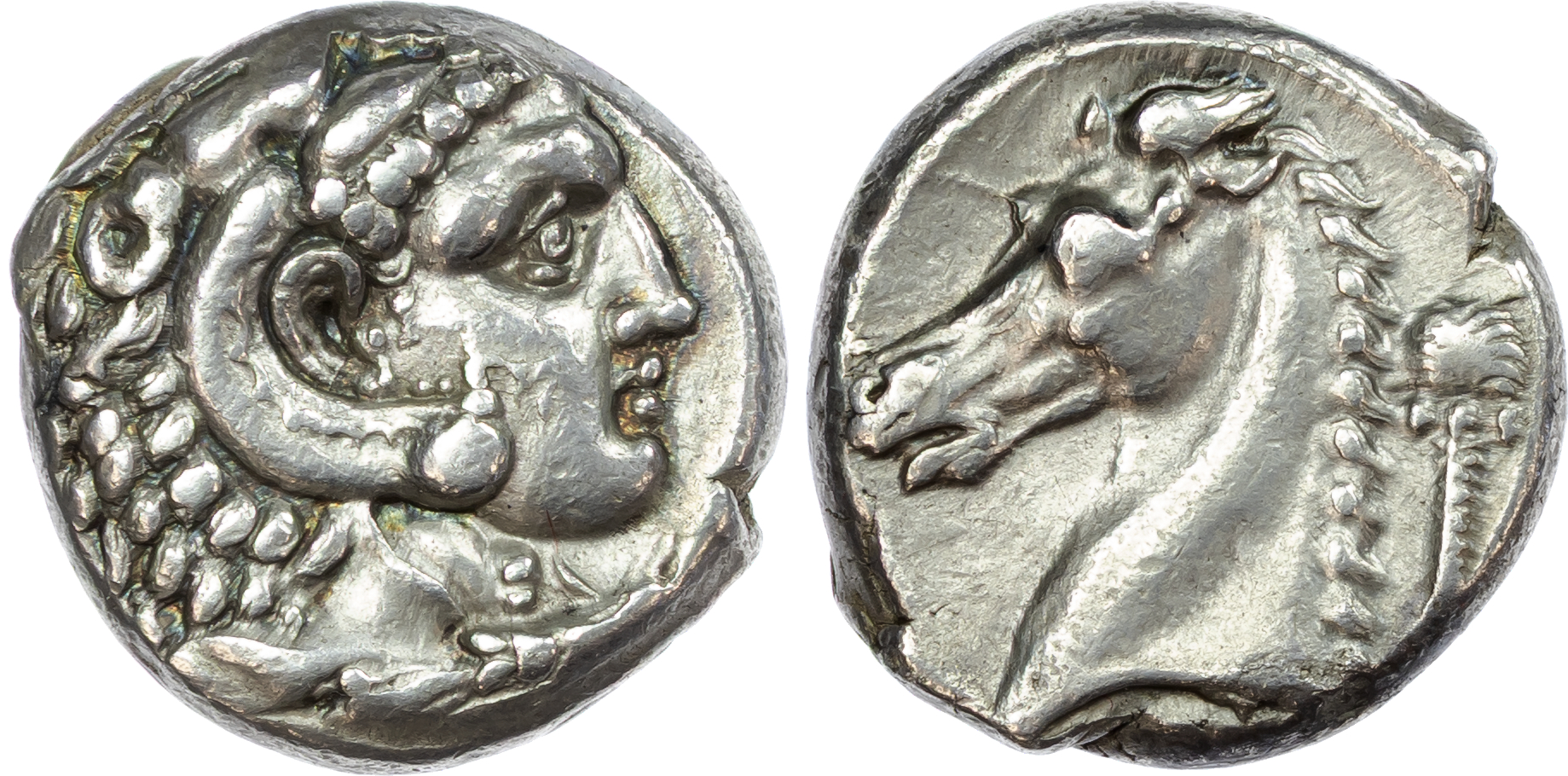Siculo-Punic, Entella, Silver Tetradrachm
